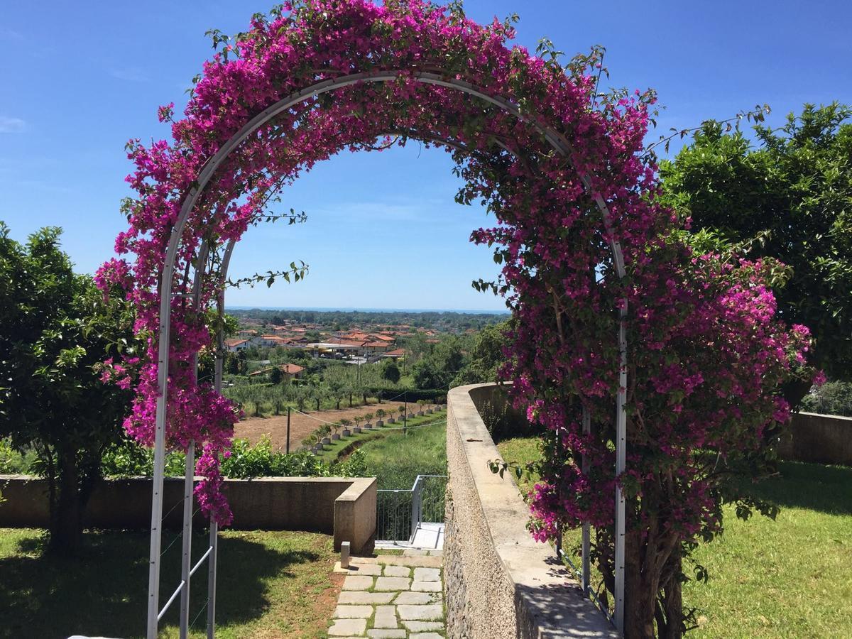 Relais Montepepe Winery & Spa Montignoso Exterior photo